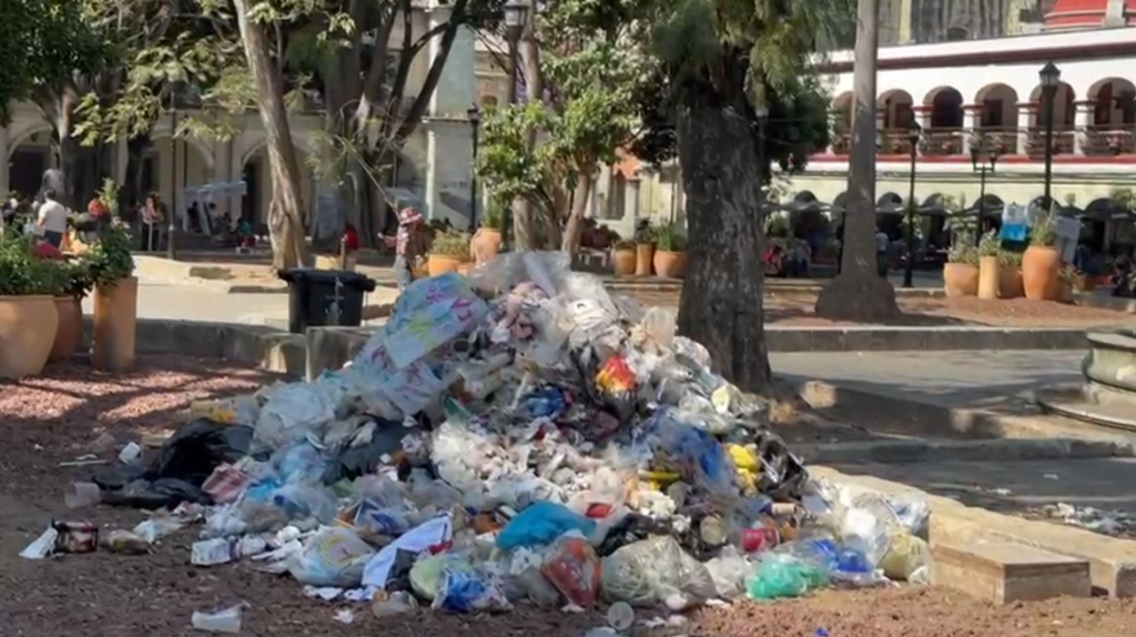 Trabajadores de limpia tiran basura en jardineras del zócalo ante