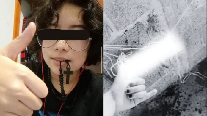 La presunta asesina mencionó que su objetivo era un gato