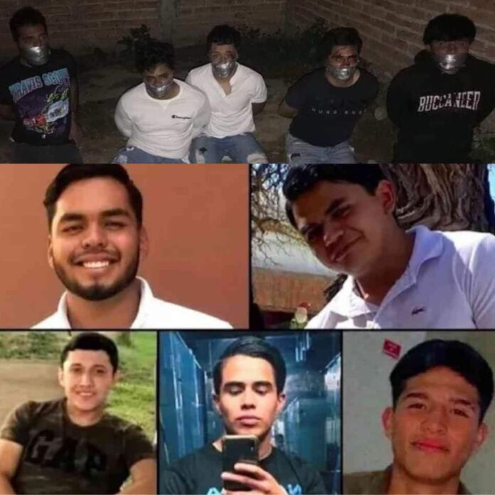 WhatsApp-Image-2023-08-15-at-11.11.45