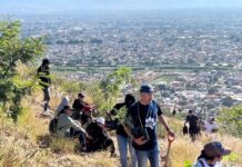 UABJO realiza reforestación en Monte Albán