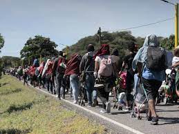 migrantes